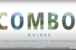 COMBO+ video (Guinea focus)